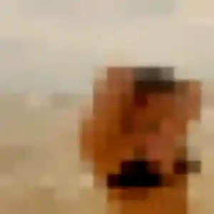 Photo de Alice à Le Chesnay-Rocquencourt (39 ans) - rencontre coquine anonyme