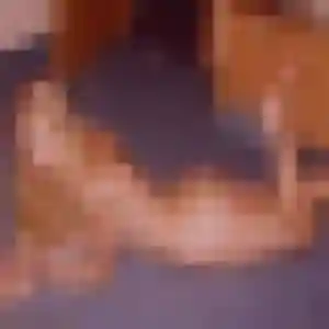 Garance (40 ans) à Le Havre propose un rencontre coquine rapidement