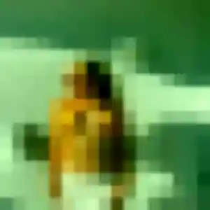 Profil de Wahiba à Le Pré-Saint-Gervais (34 ans) - rencontre coquine anonyme