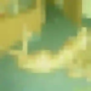 Adele de Les Ulis, 38 ans - rencontre coquine sans prise de tête