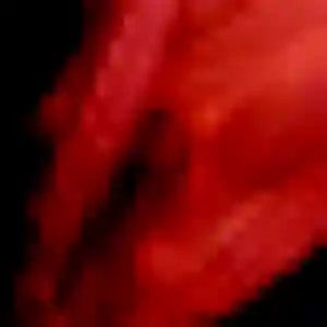 Azalee, 34 ans, en ligne à Ligné pour une rencontre coquine