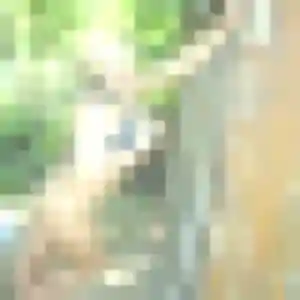 Photo de Sofia à Limoux (40 ans) - rencontre coquine discret