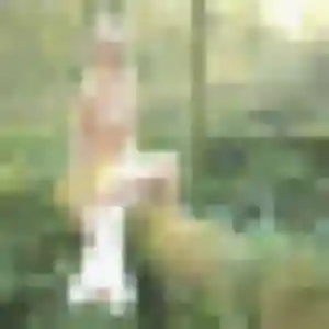 Photo de Therese à Lisses (37 ans) - rencontre coquine anonyme