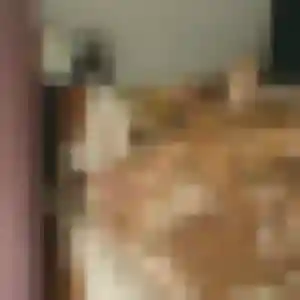 rencontre coquine à Massy : profil de Typhaine, 43 ans - sans engagement