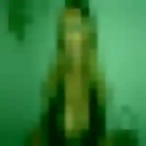 Photo de Helena à Mennecy (33 ans) - rencontre coquine sans inscription