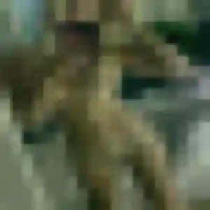 Photo exclusive de Sylvie, 30 ans à Meximieux - rencontre sans lendemain