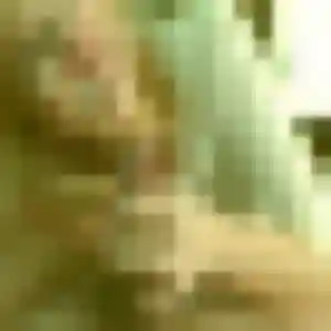 Brigitte, 24 ans, en ligne à Mézidon Vallée d'Auge pour un rencontre coquine