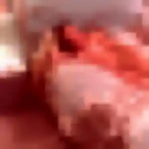 rencontre coquine à Mignaloux-Beauvoir : photo de Graziella, 22 ans - accès libre