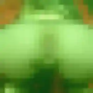Sexy Idalina, 44 ans à Mignaloux-Beauvoir - découvrir son profil