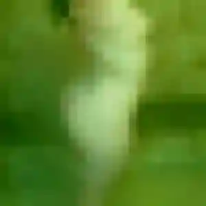 Olivia, 33 ans, connectée à Montfermeil pour un rencontre coquine