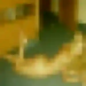 Photo sexy de Ava, 43 ans à Montmorency - rencontre sans lendemain