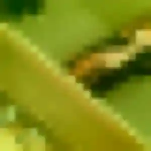 Estelle, 39 ans, dispo pour rencontre coquine à Morlaix