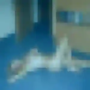 Sexy Yvonne, 32 ans à Mouilleron-le-Captif - la contacter