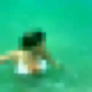 Photo de Dina à Neuville-de-Poitou (41 ans) - rencontre coquine discret