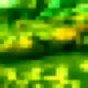 Découvre Zephyrine, 43 ans à Nœux-les-Mines gratuitement