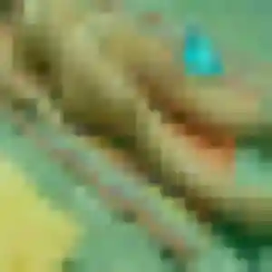 Photo de Rachida à Nogent-sur-Oise (27 ans) - rencontre coquine gratuit