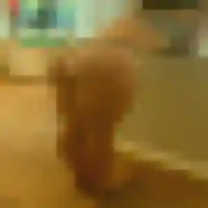 Axelle (28 ans) à Noyon attend un rencontre coquine maintenant