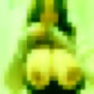 Colombe de Orléans, 21 ans - rencontre coquine sans lendemain