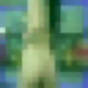 Cecile, 32 ans, dispo pour rencontre coquine à Panazol