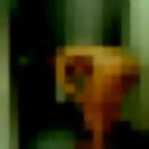 Photo de Emilie à Parempuyre (19 ans) - rencontre coquine discret