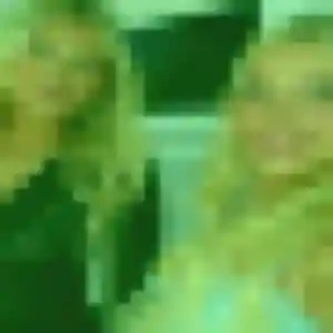Photo de Ghislaine à Parigné-l'Évêque (35 ans) - rencontre coquine sans inscription