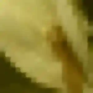 Regine de Pélissanne, 40 ans - rencontre coquine discret