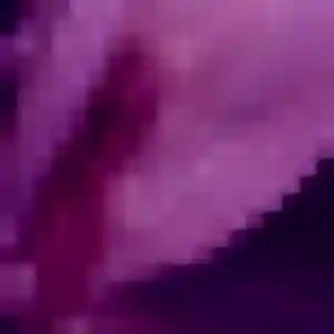 Alexandra, 20 ans, veut un rencontre coquine à Quiévrechain