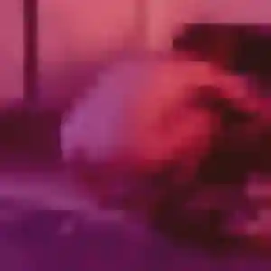 Julie, fille de 29 ans cherche rencontre coquine à Quiévrechain