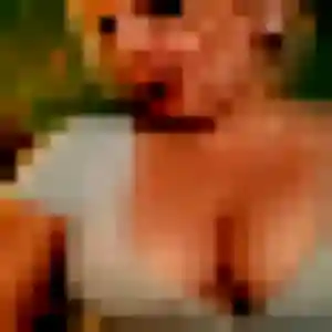 Oumaima, 20 ans, connectée à Sablé-sur-Sarthe pour une rencontre coquine