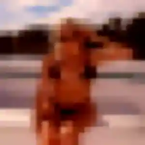 Hermine, fille de 23 ans cherche rencontre coquine à Saint-Avé
