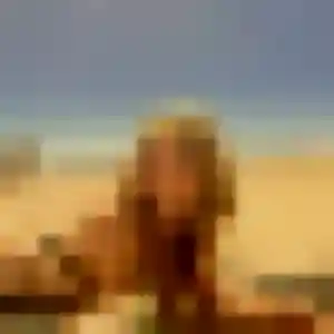 Debora, 37 ans, en ligne à Saint-Clément-de-Rivière pour une rencontre coquine