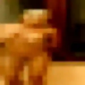 Aurelie, femme de 22 ans cherche rencontre coquine à Saint-Genis-Pouilly