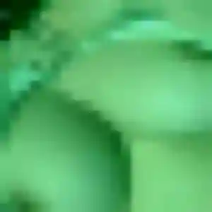 Natacha, 25 ans, connectée à Saint-Gilles pour un rencontre coquine