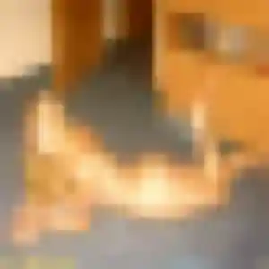 Delice, 37 ans, connectée à Saint-Jean-d'Angély pour une rencontre coquine