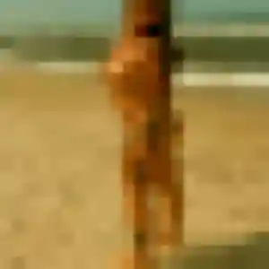 Photo privée de Marie-Helene, 28 ans à Saint-Jean-de-Braye - plan discret