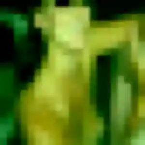 Profil de Eliane à Saint-Maurice-l'Exil (35 ans) - rencontre coquine gratuit
