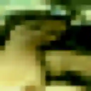 Charline, femme de 41 ans veut rencontre coquine à Saint-Médard-en-Jalles