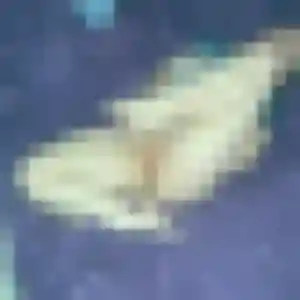 Katia, fille de 20 ans veut rencontre coquine à Saint-Saturnin-lès-Avignon