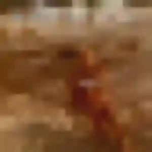 Sexy Josephine, 26 ans à Saint-Yrieix-sur-Charente - découvrir son profil