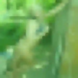 Solange, 34 ans, connectée à Sainte-Pazanne pour une rencontre coquine
