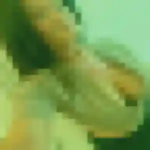 Delia, 31 ans, connectée à Saumur pour un rencontre coquine