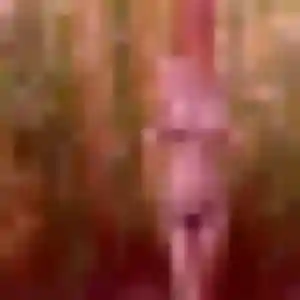 Photo de Marie-France à Saumur (38 ans) - rencontre coquine anonyme