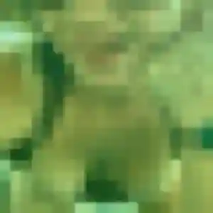 Profil de Bertille à Saverne (25 ans) - rencontre coquine gratuit