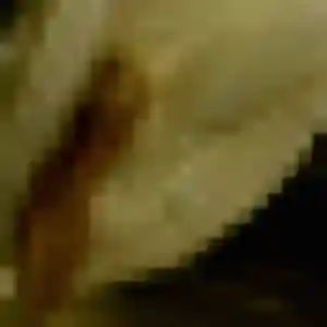 Roxane (38 ans) à Souppes-sur-Loing cherche un rencontre coquine aujourd'hui