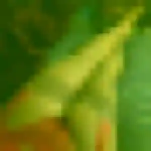 Sara (32 ans) à Talange attend un rencontre coquine rapidement