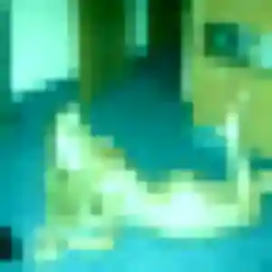 Profil de Graziella à Taverny (37 ans) - rencontre coquine sans inscription