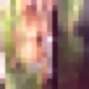 Alice (36 ans) à Thoiry cherche un rencontre coquine aujourd'hui