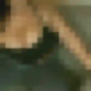 Zelda, 20 ans, dispo pour rencontre coquine à Thorigné-Fouillard