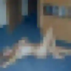 Photo de Heloise à Toulon (34 ans) - rencontre coquine anonyme