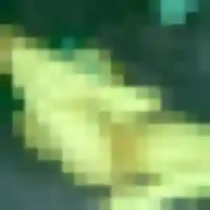 Judith, femme de 29 ans cherche rencontre coquine à Trévoux